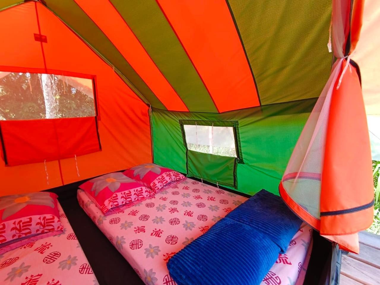 Ecoxplora-Zona De Camping Jardín Extérieur photo