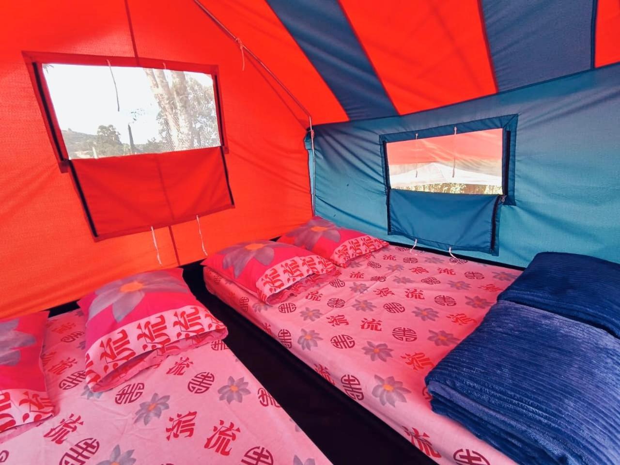 Ecoxplora-Zona De Camping Jardín Extérieur photo