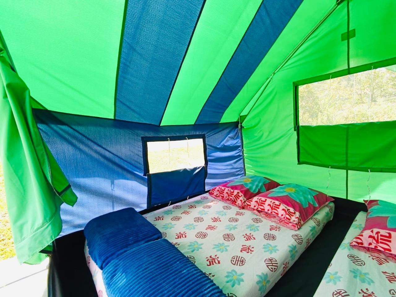 Ecoxplora-Zona De Camping Jardín Extérieur photo