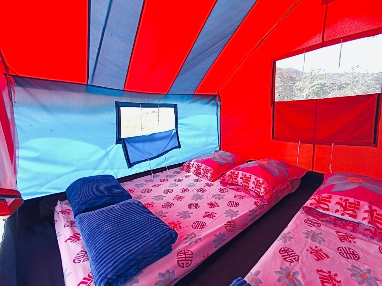 Ecoxplora-Zona De Camping Jardín Extérieur photo