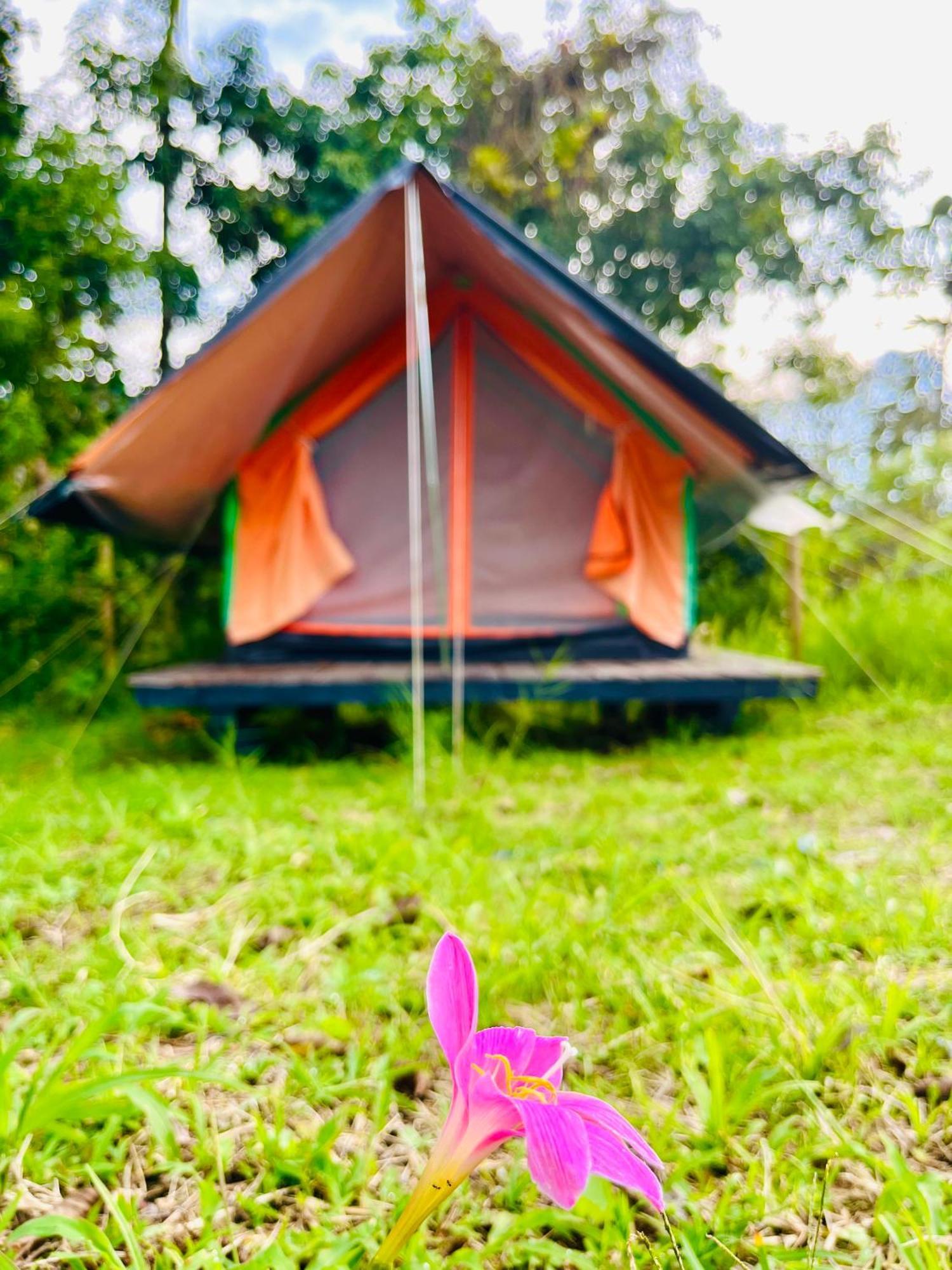 Ecoxplora-Zona De Camping Jardín Extérieur photo