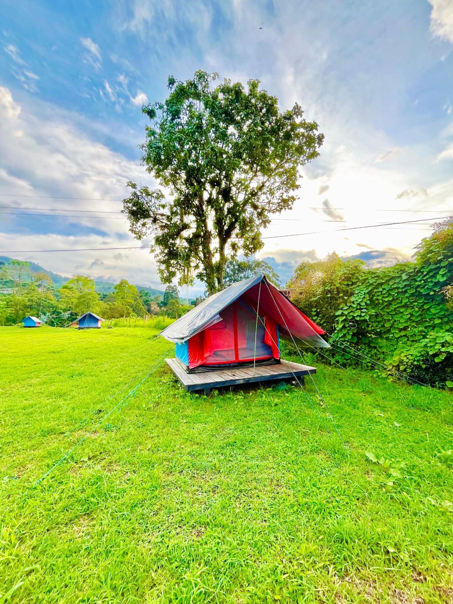 Ecoxplora-Zona De Camping Jardín Extérieur photo