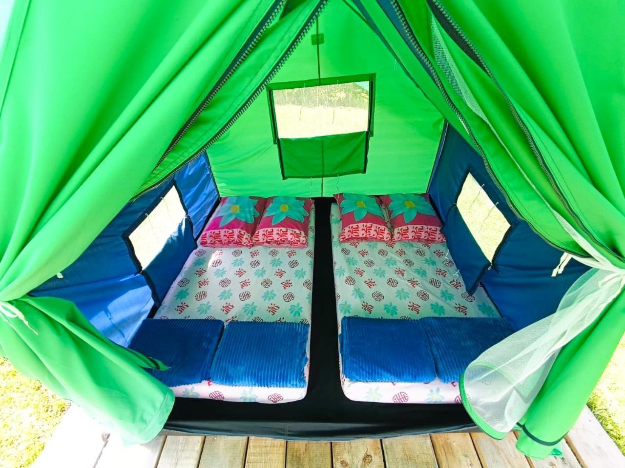 Ecoxplora-Zona De Camping Jardín Extérieur photo