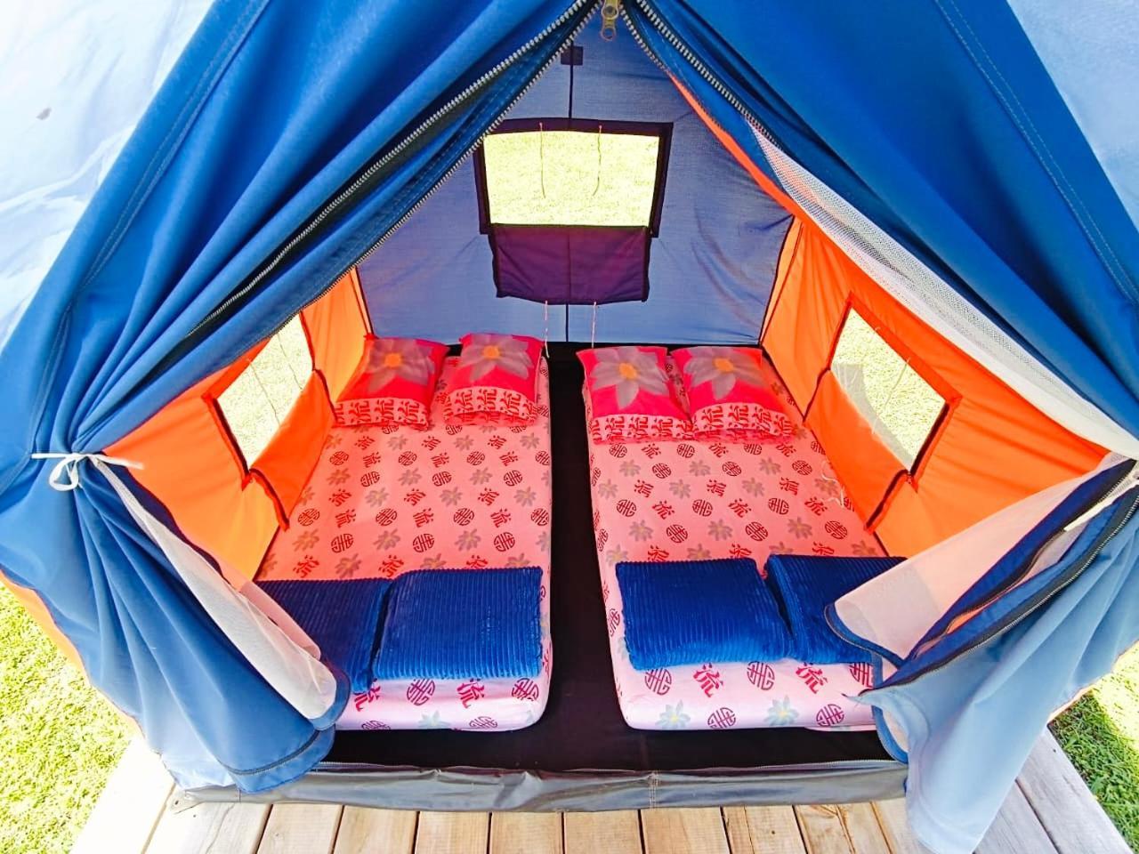 Ecoxplora-Zona De Camping Jardín Extérieur photo