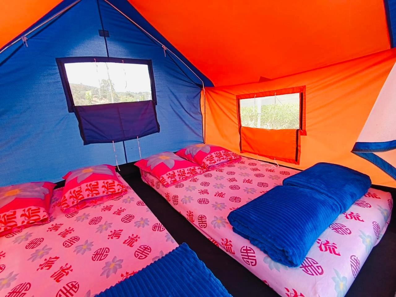 Ecoxplora-Zona De Camping Jardín Extérieur photo